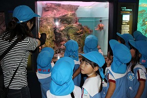 IMG_2197 IMG_2197