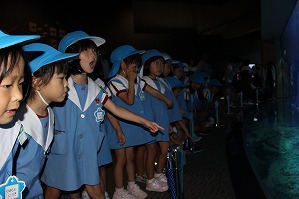 IMG_2211 IMG_2211