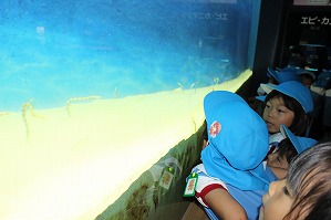 IMG_2215 IMG_2215