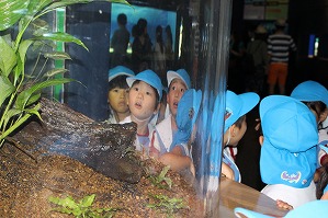 IMG_2217 IMG_2217
