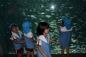IMG_2221 IMG_2221