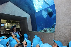 IMG_2233 IMG_2233