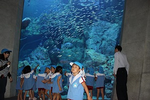 IMG_2236 IMG_2236