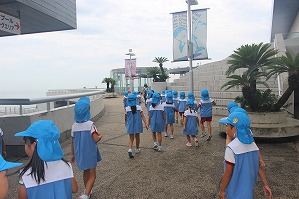 IMG_2253 IMG_2253