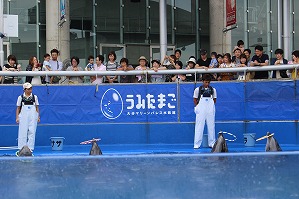 IMG_2261 IMG_2261