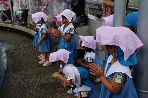 IMG_2262 IMG_2262