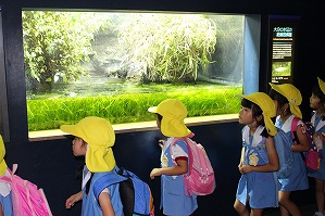 IMG_2286 IMG_2286