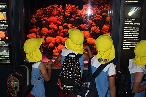IMG_2288 IMG_2288