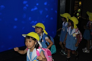 IMG_2290 IMG_2290