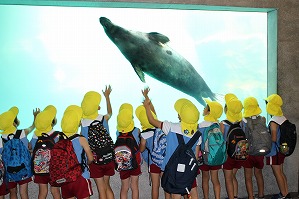 IMG_2303 IMG_2303
