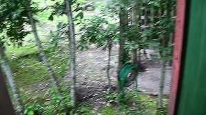 20170821165715(6)