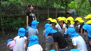MAH00186(1)