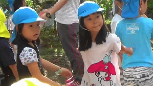 MAH00233(4)