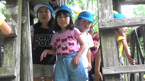 MAH00349(4)