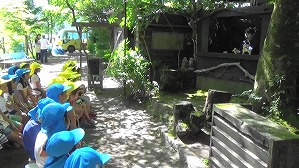 MAH00464(2)