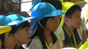 MAH00467(1)