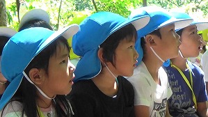 MAH00469(1)