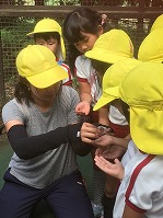 20171011kigumi (3)