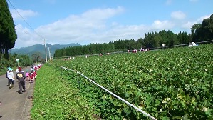 20171026102716(1)