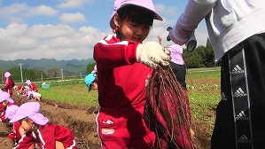 20171026103755(1)