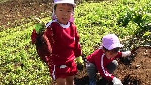 20171026103901(1)