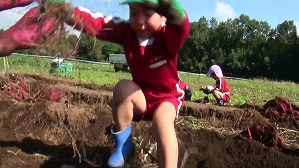 20171026104337(5)