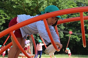 IMG_3186