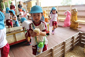 IMG_3357
