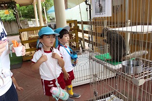 IMG_3360