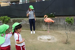 IMG_3373
