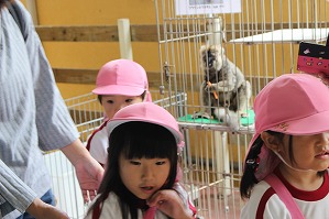 IMG_3393