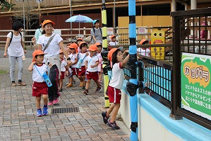 IMG_3394