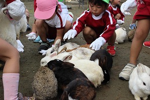 IMG_3699