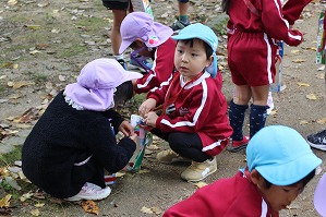 IMG_3799