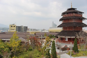 IMG_4025