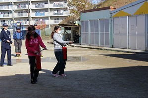 IMG_4317