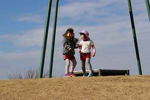 IMG_6955