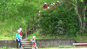 20180425101252(1)