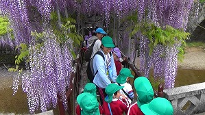 20180425114022(1)