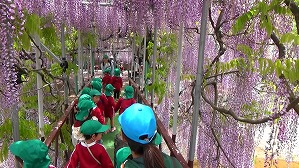 20180425114022(2)