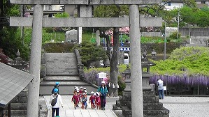 20180425115918(1)