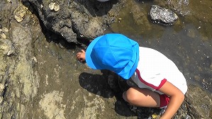 20180622112625(1)