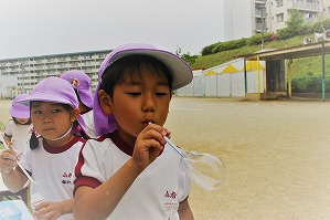 IMG_8678