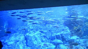 20180705103124(1)