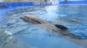 20180705104850(1)