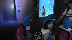 20180705112104(1)