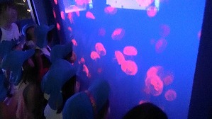 20180705112228(1)