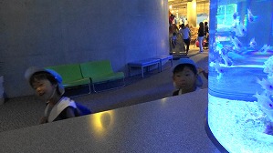 20180705113231(1)
