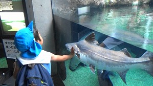 20180705113256(1)