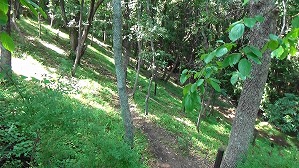 20180806141835(2)
